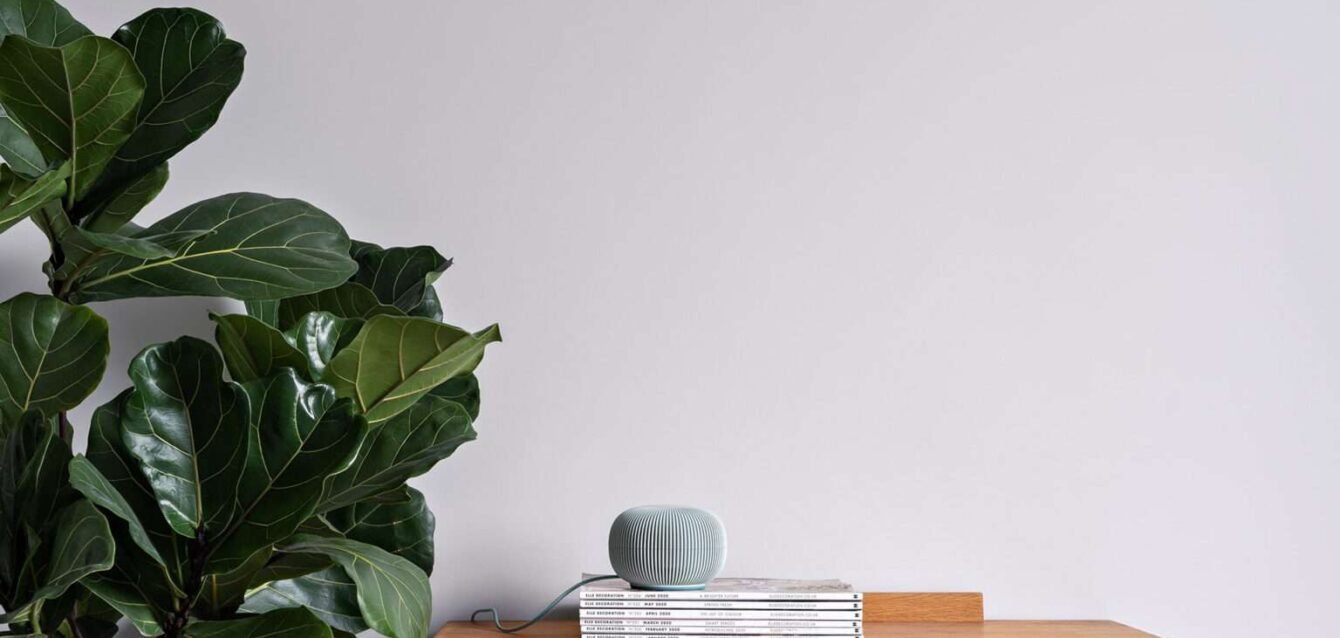 275427127734167.6148634138a86-1536x1024-1